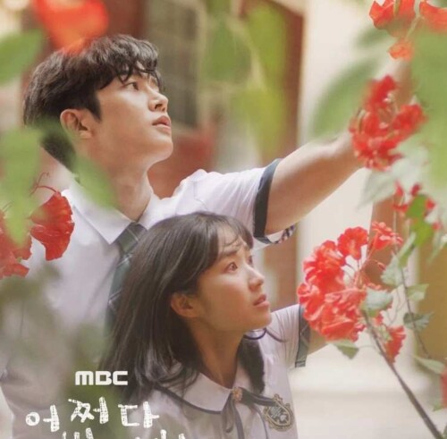 偶然見つけたハル