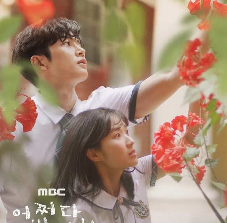 偶然見つけたハル