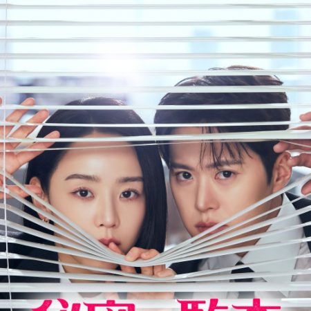 秘密の監査 -Filing for Love-