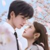 素敵な恋の咲かせかた